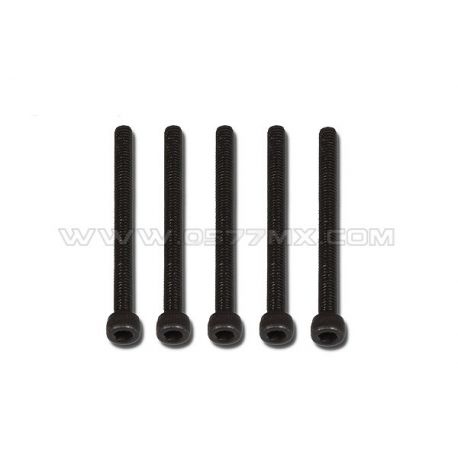 Vis M2,5x30 acier (vendu par 5)