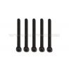 Vis M2,5x30 acier (vendu par 5)