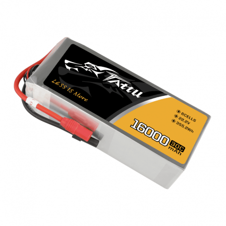 Batterie 10 000mAh 22,2 V 30C 6S - TATTU